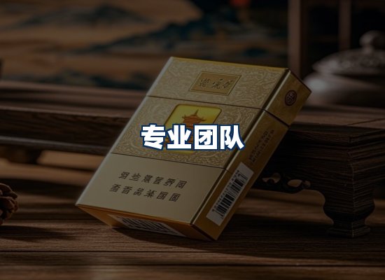 专业团队